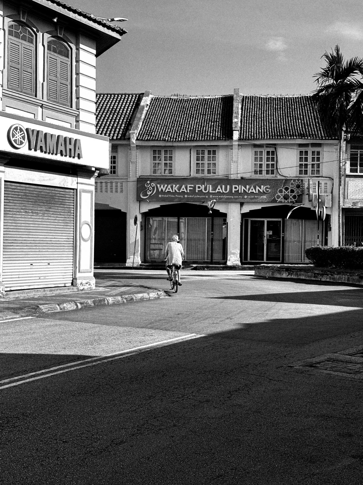 Photograph by Thaanush R