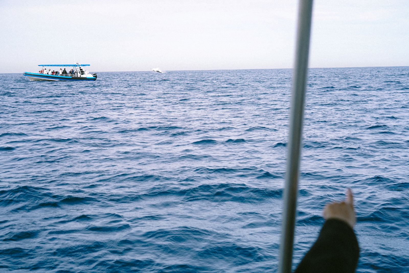 Photograph by Thaanush R