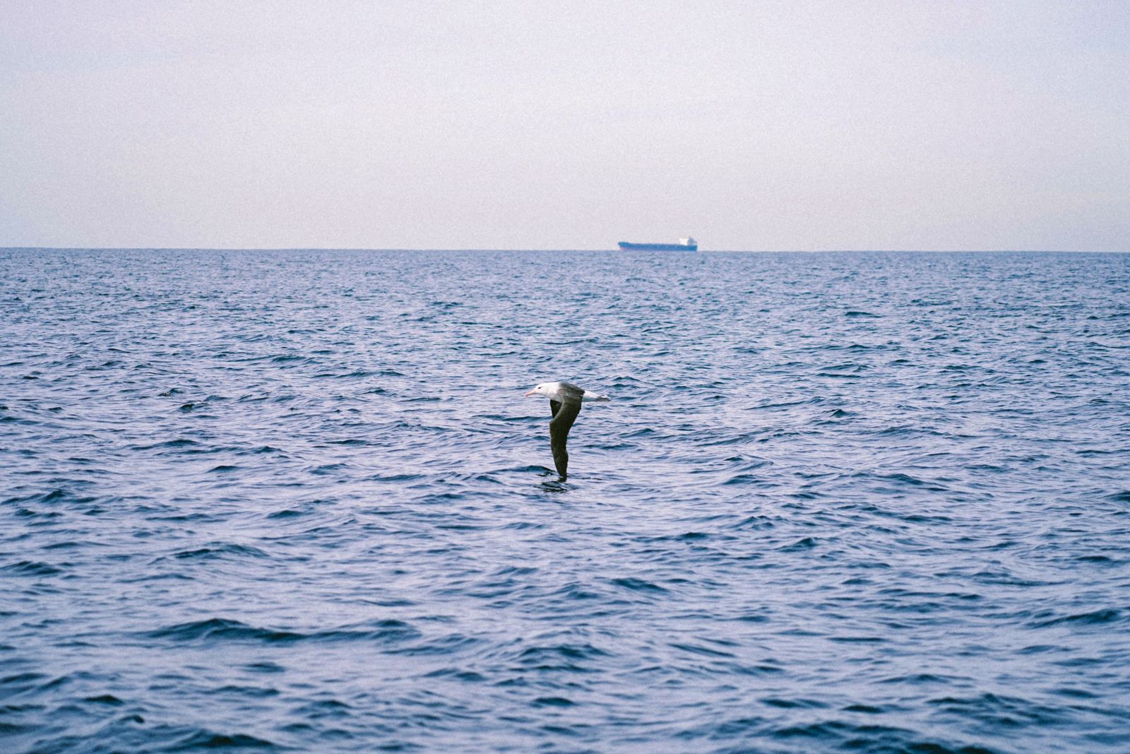Photograph by Thaanush R