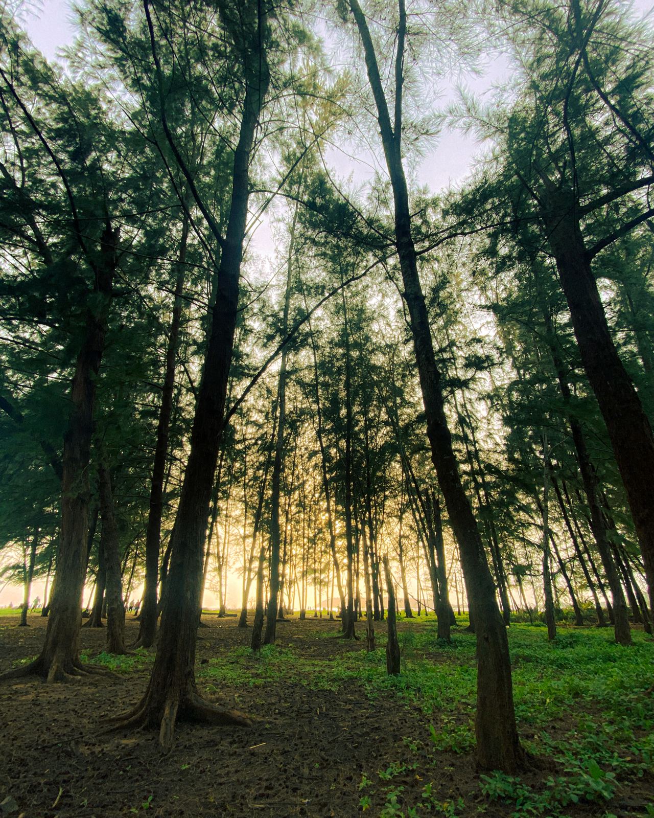 Photograph by Thaanush R