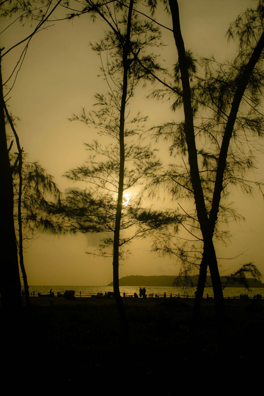 Photograph by Thaanush R