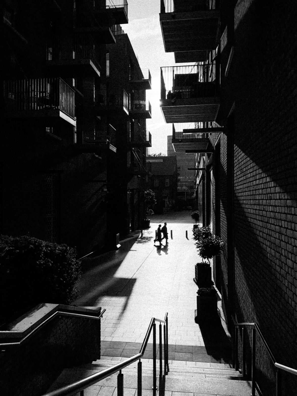 Photograph by Thaanush R