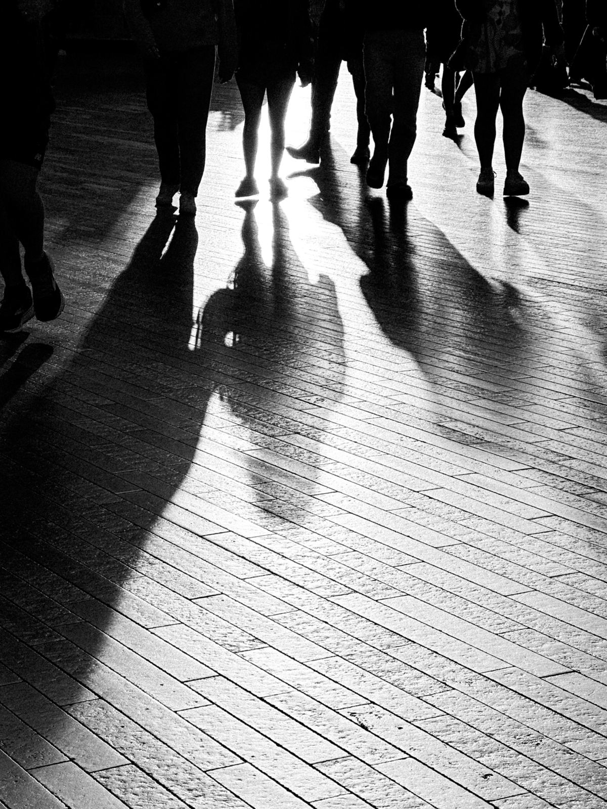 Photograph by Thaanush R